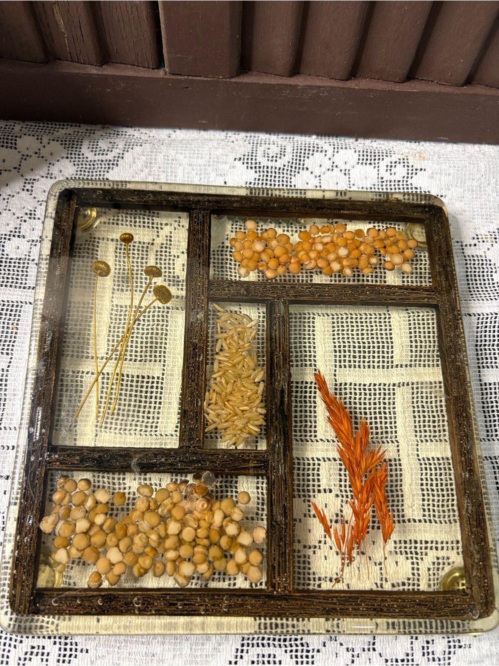 Vintage 1960s Wall Trivet Lucite Dried Seeds, Corn, Rice and Wheat Design Gifts
